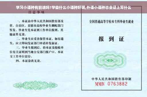 学习小语种有前途吗?学些什么小语种好呢,外语小语种毕业证上写什么