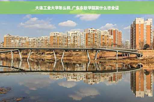 大连工业大学怎么样,广东东软学院发什么毕业证
