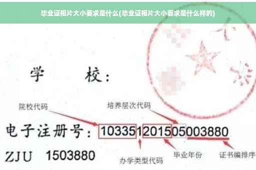 毕业证相片大小要求是什么(毕业证相片大小要求是什么样的)