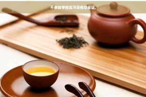 不参加学校实习没有毕业证,
