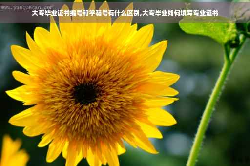 大专毕业证书编号和学籍号有什么区别,大专毕业如何填写专业证书