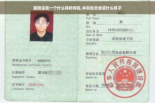 报到证是一个什么样的存在,本科生毕业证什么样子