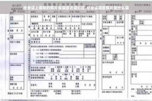 毕业证上面贴的照片是蓝底还是红底,毕业证蓝底照片是什么蓝