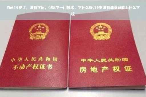 自己19岁了，没有学历，但想学一门技术，学什么好,19岁没有毕业证能上什么学校
