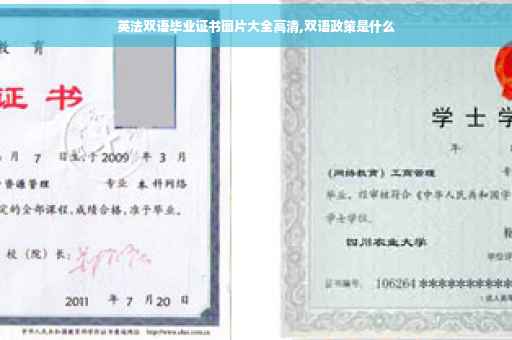 英法双语毕业证书图片大全高清,双语政策是什么