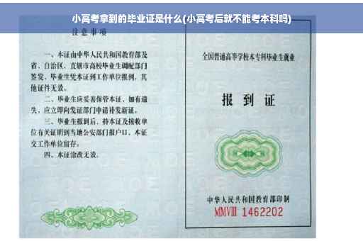 小高考拿到的毕业证是什么(小高考后就不能考本科吗)