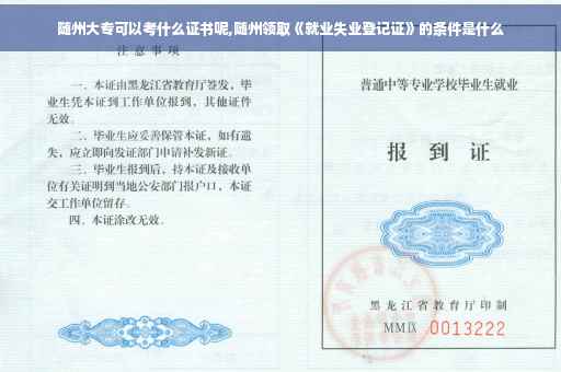 随州大专可以考什么证书呢,随州领取《就业失业登记证》的条件是什么