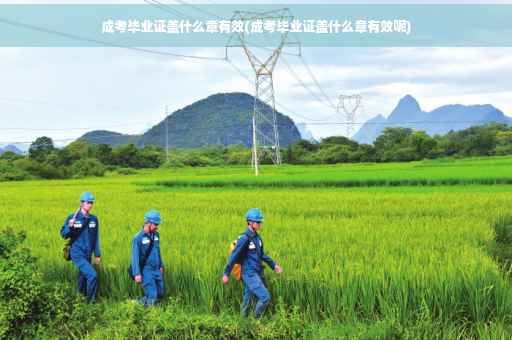 成考毕业证盖什么章有效(成考毕业证盖什么章有效呢)