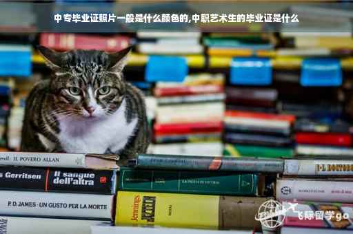 中专毕业证照片一般是什么颜色的,中职艺术生的毕业证是什么