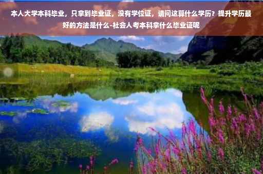 本人大学本科毕业，只拿到毕业证，没有学位证，请问这算什么学历？提升学历最好的方法是什么-社会人考本科拿什么毕业证呢