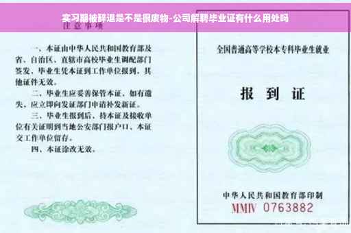 实习期被辞退是不是很废物-公司解聘毕业证有什么用处吗