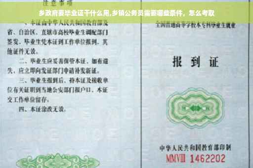 乡政府要毕业证干什么用,乡镇公务员需要哪些条件，怎么考取