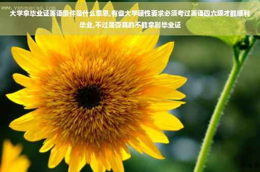 大学拿毕业证英语条件是什么意思,有些大学硬性要求必须考过英语四六级才能顺利毕业,不过是否真的不能拿到毕业证