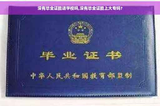 没有毕业证能进学校吗,没有毕业证能上大专吗?