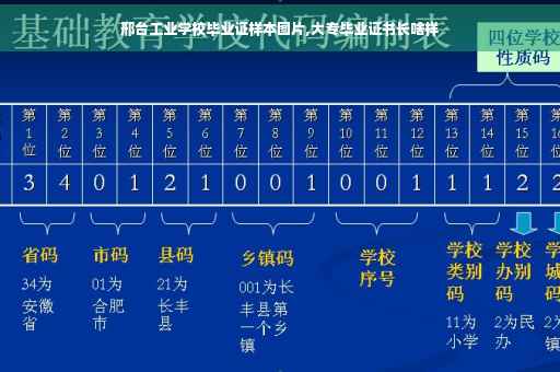 邢台工业学校毕业证样本图片,大专毕业证书长啥样