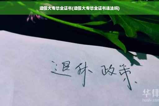 造假大专毕业证书(造假大专毕业证书违法吗)