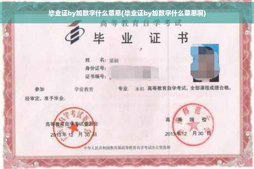 毕业证by加数字什么意思(毕业证by加数字什么意思啊)