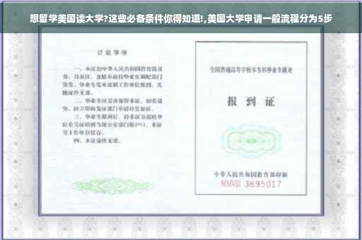 想留学美国读大学?这些必备条件你得知道!,美国大学申请一般流程分为5步