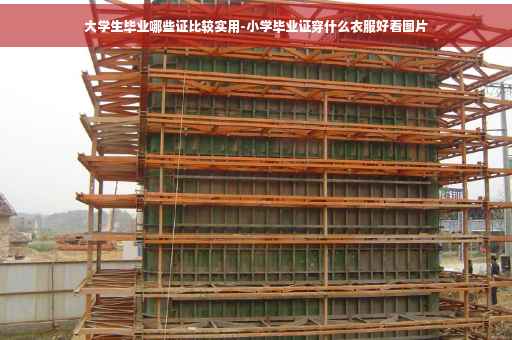 大学生毕业哪些证比较实用-小学毕业证穿什么衣服好看图片