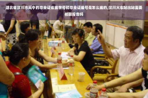 湖北省汉川市高中的毕业证省编学号和毕业证编号是怎么编的,汉川火车站出站需要核酸报告吗