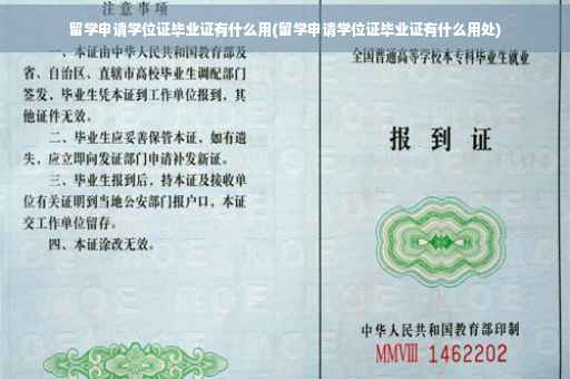 留学申请学位证毕业证有什么用(留学申请学位证毕业证有什么用处)