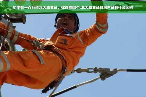 如果有一百万和北大毕业证，你选择哪个,北大毕业证和房产证有什么区别