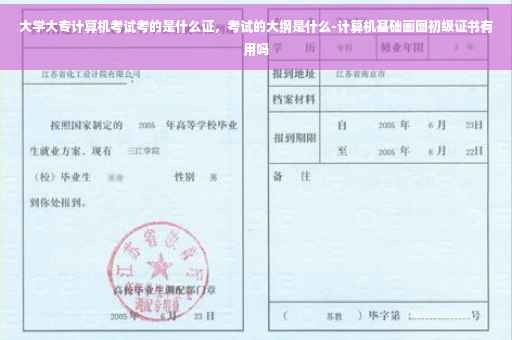 大学大专计算机考试考的是什么证，考试的大纲是什么-计算机基础画图初级证书有用吗