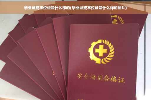 毕业证或学位证是什么样的(毕业证或学位证是什么样的图片)