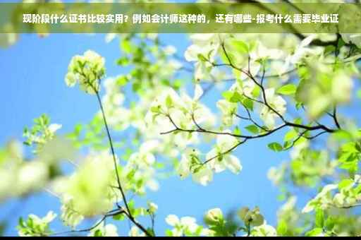 现阶段什么证书比较实用？例如会计师这种的，还有哪些-报考什么需要毕业证