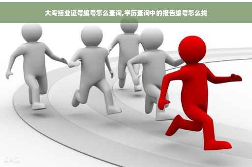 大专结业证号编号怎么查询,学历查询中的报告编号怎么找