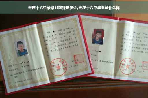 枣庄十六中录取分数线是多少,枣庄十六中毕业证什么样
