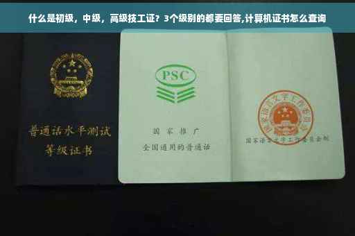 什么是初级，中级，高级技工证？3个级别的都要回答,计算机证书怎么查询