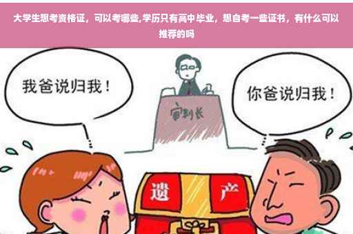大学生想考资格证，可以考哪些,学历只有高中毕业，想自考一些证书，有什么可以推荐的吗