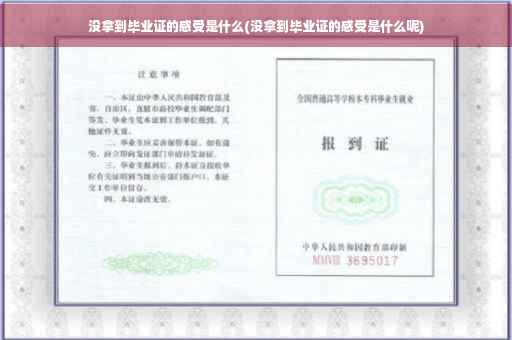 没拿到毕业证的感受是什么(没拿到毕业证的感受是什么呢) 没拿到毕业证的感受是什么(没拿到毕业证的感受是什么呢)