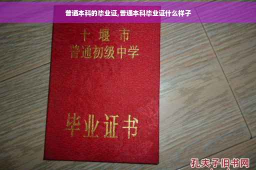 普通本科的毕业证,普通本科毕业证什么样子