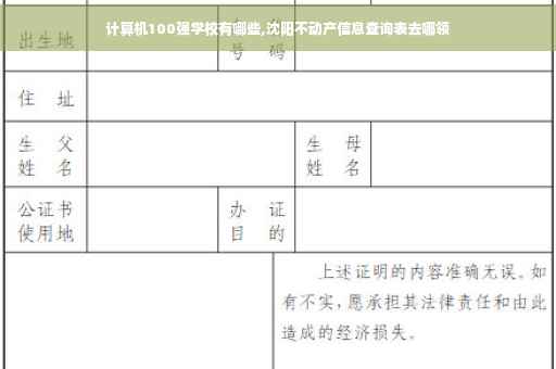 计算机100强学校有哪些,沈阳不动产信息查询表去哪领