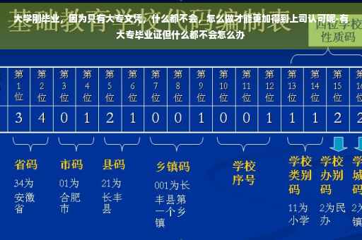 大学刚毕业，因为只有大专文凭，什么都不会，怎么做才能更加得到上司认可呢-有大专毕业证但什么都不会怎么办