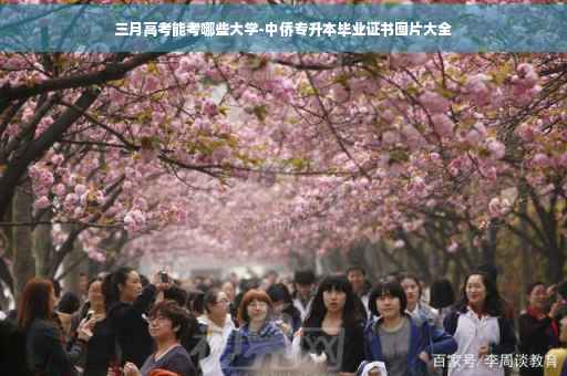三月高考能考哪些大学-中侨专升本毕业证书图片大全