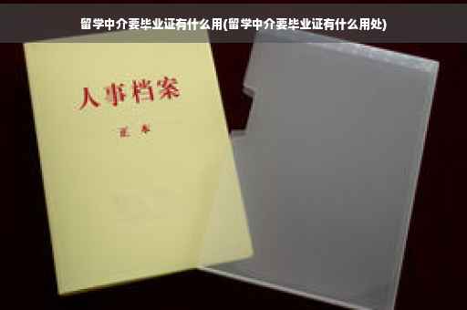 留学中介要毕业证有什么用(留学中介要毕业证有什么用处)