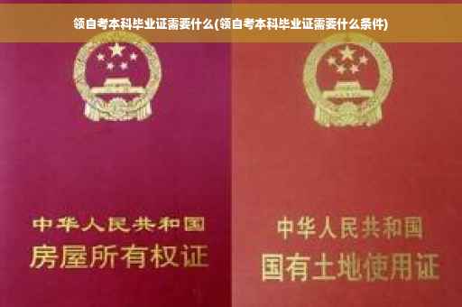领自考本科毕业证需要什么(领自考本科毕业证需要什么条件)