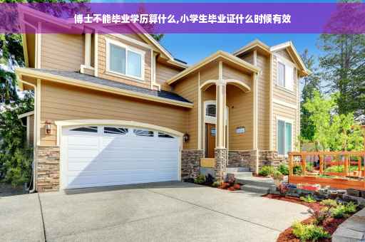 博士不能毕业学历算什么,小学生毕业证什么时候有效