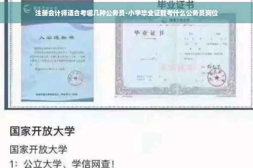 注册会计师适合考哪几种公务员-小学毕业证能考什么公务员岗位