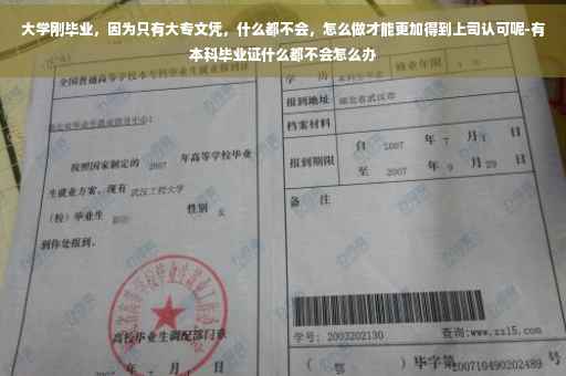 大学刚毕业，因为只有大专文凭，什么都不会，怎么做才能更加得到上司认可呢-有本科毕业证什么都不会怎么办