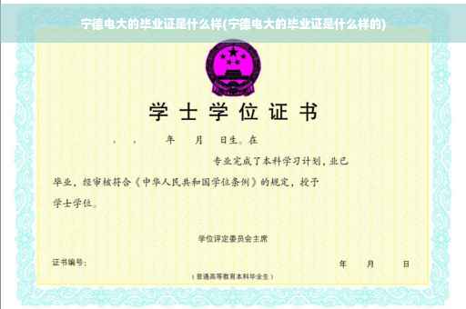 宁德电大的毕业证是什么样(宁德电大的毕业证是什么样的)