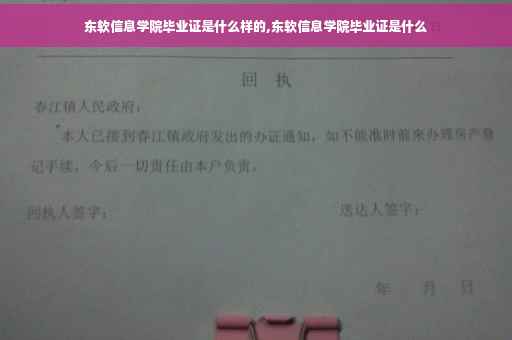 东软信息学院毕业证是什么样的,东软信息学院毕业证是什么