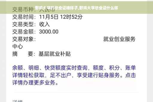 野鸡大学的毕业证啥样子,野鸡大学毕业证什么样