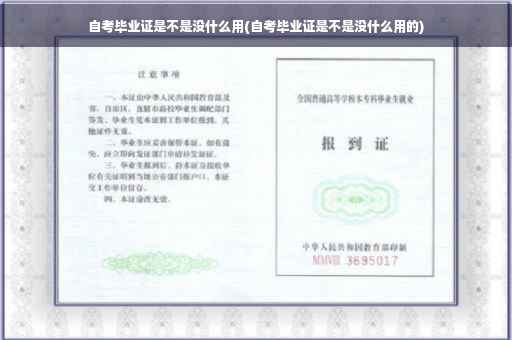 自考毕业证是不是没什么用(自考毕业证是不是没什么用的)