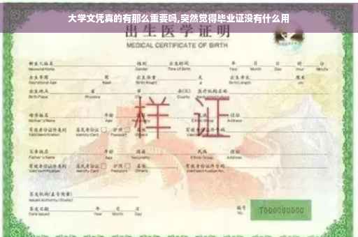 大学文凭真的有那么重要吗,突然觉得毕业证没有什么用