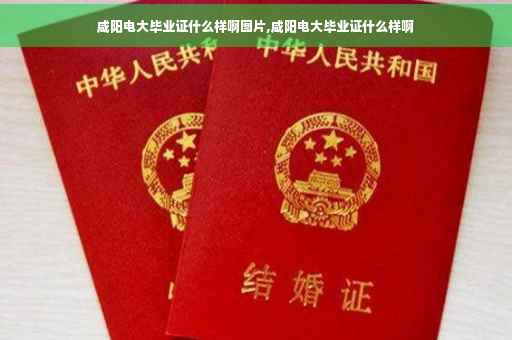 咸阳电大毕业证什么样啊图片,咸阳电大毕业证什么样啊