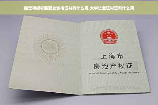 新型初级农民职业资格证书有什么用,大学毕业证村里有什么用